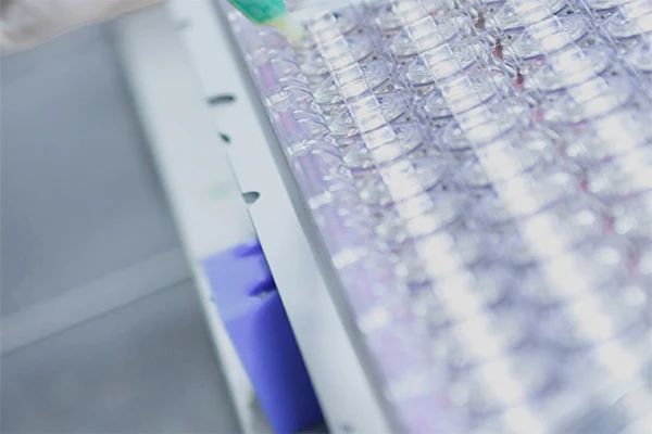 1733736089854348.jpg 88bc9752e24c787cdbd1cb81803110e4.jpg